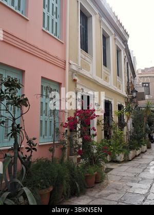Charmante rue à Plaka, Athènes, Grèce, avec des façades de maison colorées et des plantes en pot bordant la passerelle dans une atmosphère méditerranéenne traditionnelle. Banque D'Images