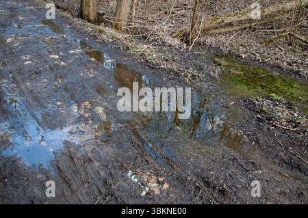 Chemin de terre très boueux dans une forêt printanière. Au bord de la route, une flaque remplie d'algues vertes ou d'écume d'étang. Banque D'Images