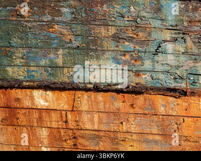 Gros plan de bois peint écaillé avec des tons rouillés orange et bleu. Texture altérée avec des détails de surface riches, idéal comme arrière-plan rustique ou abstra Banque D'Images
