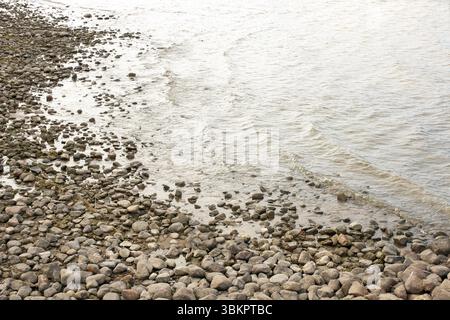 Rochers et algues sur la rive du golfe de Finlande par une journée nuageuse Banque D'Images