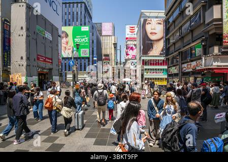 Vue le long de la rue Dotonbori à Osaka, au Japon, un quartier populaire pour les habitants et les touristes, offrant un large éventail de restaurants, de boutiques et de divertissements Banque D'Images
