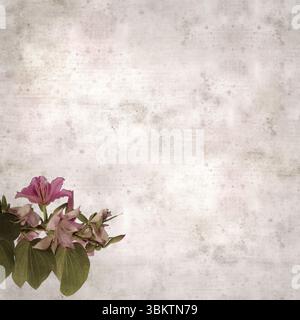 Fond de vieux papier texturé avec Bauhinia variegata, arbre d'orchidée Banque D'Images