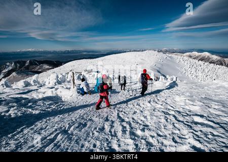 Randonneurs dans la neige sur Mt. Zao, préfecture de Yamagata, Japon. Banque D'Images