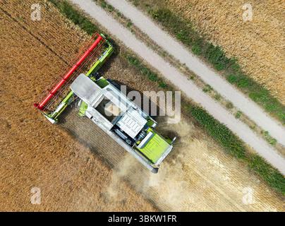 Petersdorf, Allemagne. 23 juin 2025. Un agriculteur récolte de l'orge avec sa moissonneuse-batteuse dans un champ du district d'Oder-Spree dans l'est du Brandebourg (vue aérienne avec un drone). La récolte des céréales commence lentement dans les champs en Allemagne. Crédit : Patrick Pleul/dpa/Alamy Live News Banque D'Images