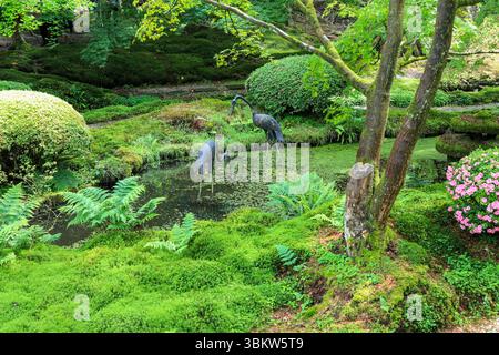 Deux sculptures de grues dans un étang ou une piscine au jardin japonais, Tatton Park, Cheshire Angleterre, Royaume-Uni Banque D'Images