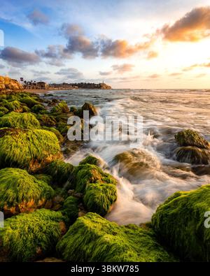Vagues de la mer Méditerranée s'écrasant dans des rochers couverts d'algues sur la plage de tel Aviv, Israël au coucher du soleil avec Old Yaffo vu au loin Banque D'Images