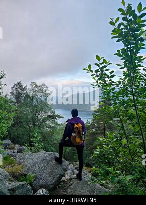 Un randonneur solitaire se tient au sommet d'un rocher, contemplant le magnifique fjord en contrebas. Entouré de feuillages vibrants et de montagnes majestueuses, ce moment capture l'essence de l'aventure dans Preikestolen Hike Norvège Banque D'Images