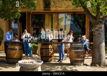 Vallée de Casablanca, Chili—2 février 2025. Les gens en excursion sirotent du vin lors d'une dégustation dans la vallée de Casablanca. Banque D'Images