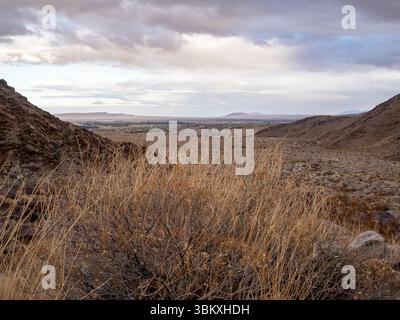 Une photo de paysage d'une vallée désertique avec une ville au loin, prise d'un point de vue élevé avec un pinceau sec au premier plan, mettant en valeur l'environnement aride et l'habitat humain qui s'y trouve. Banque D'Images