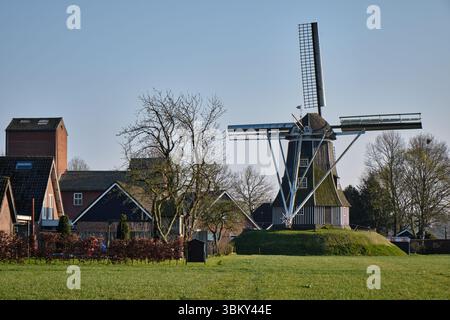 28 mars 2025 - Miste-pays-Bas : le moulin à vent historique de Meenkmolen dans la région d'Achterhoek, un moulin à bande néerlandais typique utilisé pour le broyage du grain, entoure Banque D'Images