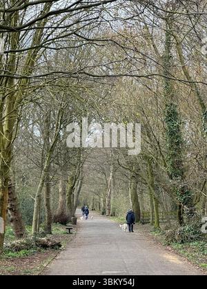 Green Drive Woodland, Lytham St Annes, Lancashire, Angleterre, Royaume-Uni Banque D'Images