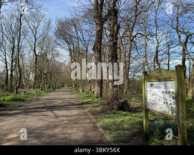 Green Drive Woodland, Lytham St Annes, Lancashire, Angleterre, Royaume-Uni Banque D'Images