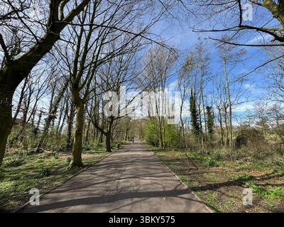 Green Drive Woodland, Lytham St Annes, Lancashire, Angleterre, Royaume-Uni Banque D'Images