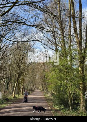 Green Drive Woodland, Lytham St Annes, Lancashire, Angleterre, Royaume-Uni Banque D'Images