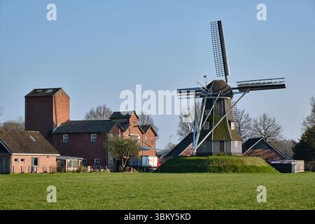 28 mars 2025 - Miste-pays-Bas : le moulin à vent historique de Meenkmolen dans la région d'Achterhoek, un moulin à bande néerlandais typique utilisé pour le broyage du grain, entoure Banque D'Images