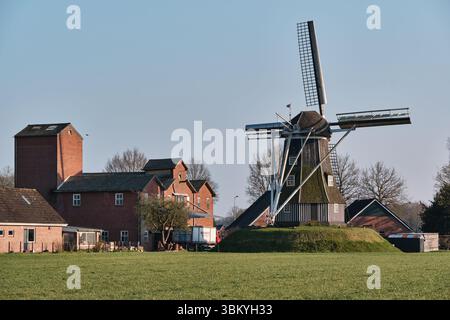 28 mars 2025 - Miste-pays-Bas : le moulin à vent historique de Meenkmolen dans la région d'Achterhoek, un moulin à bande néerlandais typique utilisé pour le broyage du grain, entoure Banque D'Images