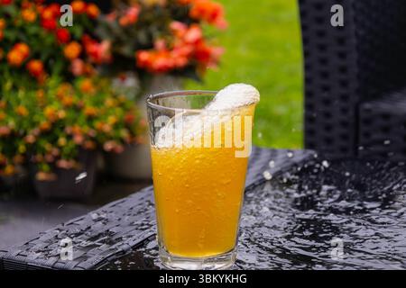 Plein cadrage fixe d'une bière se versant dans un verre. Une vitesse d'obturation plus rapide montre le mouvement dans la prise de vue Banque D'Images