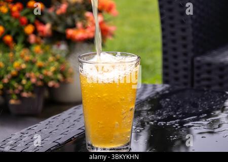 Plein cadrage fixe d'une bière se versant dans un verre. Une vitesse d'obturation plus rapide montre le mouvement dans la prise de vue Banque D'Images