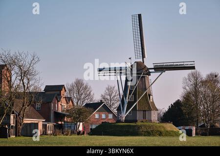28 mars 2025 - Miste-pays-Bas : le moulin à vent historique de Meenkmolen dans la région d'Achterhoek, un moulin à bande néerlandais typique utilisé pour le broyage du grain, entoure Banque D'Images