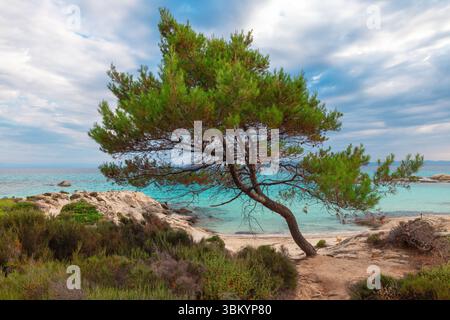 Plage de Kavourotripes, Chalcidique, Grèce. Vue aérienne de la belle plage tropicale aux eaux turquoises Banque D'Images