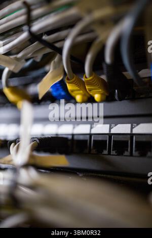 Les câbles Ethernet colorés se connectent au commutateur de rack dans une conception plate, montrant les étiquettes de port Banque D'Images