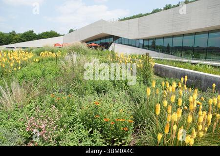 Extérieur, jardin, entrée, restaurant du Centre International d'Art Grottier (Lascaux IV), Montignac, Dordogne, France. Juin. Banque D'Images