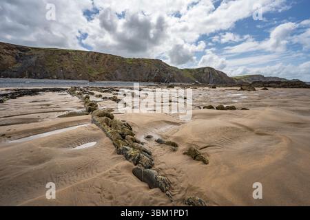 Motifs naturels de sable à marée basse sur Sandymouth Bay à Cornwall mis Summertime Banque D'Images