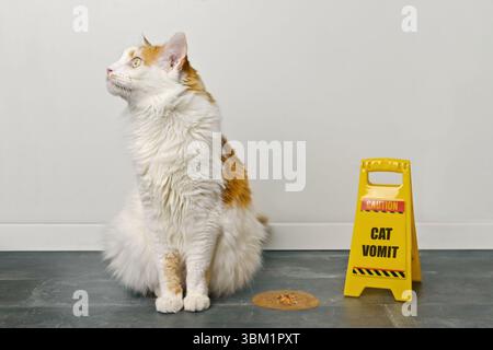 Drôle de chat long-air assis à côté d'un chat vomi signe d'avertissement sur le sol. Banque D'Images