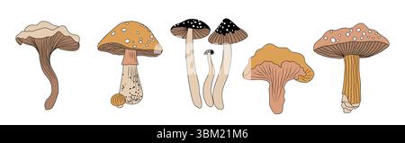Ensemble de différents vecteurs de champignons forestiers isolés Illustration de Vecteur