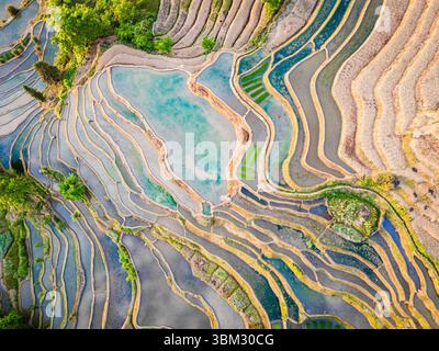 Terrasses de riz Hani de l'UNESCO, Yunnan, avec une vue panoramique sur les vastes champs en terrasses de Samaba Yuanyang Banque D'Images