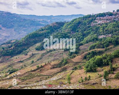 Terrasses de riz Hani de l'UNESCO, Yunnan, avec une vue panoramique sur les vastes champs en terrasses de Samaba Yuanyang Banque D'Images