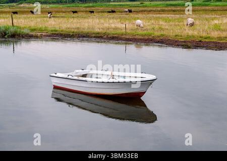 Un petit bateau blanc repose tranquillement sur une eau calme, entouré de champs où les moutons paissent paisiblement sous un ciel nuageux. Banque D'Images