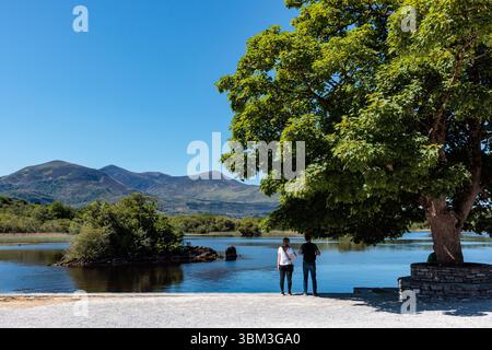 Ross Castle, Ross Island, Lough Leane, Killarney, Comté de Kerry, République d'Irlande, XVe siècle, médiéval , médiéval, O'Donoghue mor, O’Donoghue, wa Banque D'Images