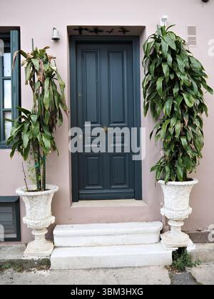 Mur pastel avec porte verte et deux grandes plantes en pot feuillus dans des pots blancs par les marches avant d'une maison élégante. Banque D'Images