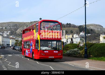 Llandudno, pays de Galles, Royaume-Uni - 20 mars 2025 ; bus touristique Red City le long de la promenade de Llandudno dans le nord du pays de Galles Banque D'Images