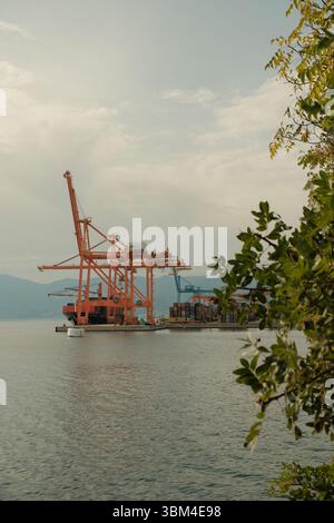 Des grues orange et bleu vif surplombent un terminal à conteneurs animé de l'Adriatique, leurs formes géométriques contrastent fortement. Banque D'Images