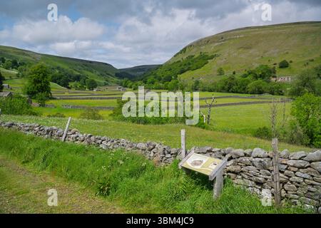 Surplombant les prairies de fleurs sauvages de Muker à Swaledale depuis occupation Lane au-dessus du village, remontez le dale vers Crackpot Hall. Yorkshire Dales Nati Banque D'Images