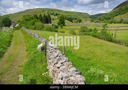 Surplombant les prairies de fleurs sauvages de Muker à Swaledale depuis occupation Lane au-dessus du village, remontez le dale vers Crackpot Hall. Yorkshire Dales Nati Banque D'Images