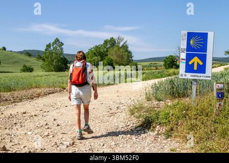 Pèlerins marchant sur le sentier de longue distance le Camino de Santiago, le chemin de Saint Jacques, dans la région de Navarrete du nord de l'Espagne Banque D'Images