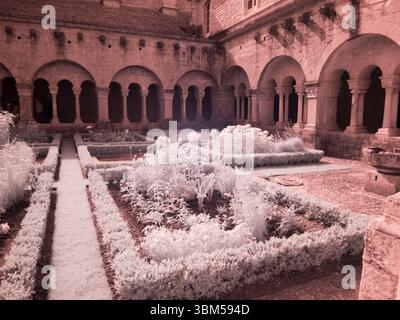 France, Provence. Abbaye de Senanque. Banque D'Images