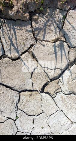 Le sol desséché présente des fissures dentelées indiquant une sécheresse prolongée dans une zone sèche. La lumière du soleil projette des ombres, améliorant la texture rugueuse du sol. Banque D'Images