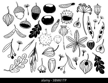 Grand ensemble de feuilles d'automne, graines d'arbres, glands et châtaignes. Illustration vectorielle monochrome dessinée à la main. Illustration de Vecteur