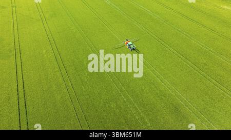 Agriculteur avec tracteur travaillant dans le champ. Au début de l’été, il fertilise le grain pour un rendement optimal. Drone photo. Merklingen, Bade-Wuertemberg, Banque D'Images