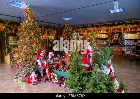 Décorations de Noël, fabricant de décorations d'arbre de Noël, souffleur de verre, Neuhaus am Rennsteig, Thuringe Slate Mountains, Thuringe, Allemagne, EUR Banque D'Images