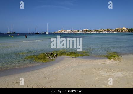 Plage d'es Dolc, Colonia de Sant Jordi, municipalité de ses Salines, Majorque, Îles Baléares, Espagne, Europe Banque D'Images