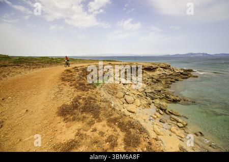 Canons de plage. Colonie de Sant Pere. Arta. Majorque. Îles Baléares. Espagne Banque D'Images