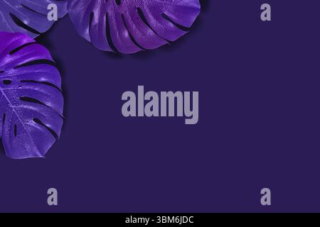 Arrière-plan de gradient florall créatif monster feuilles. La tonalité de l'image Violet Banque D'Images