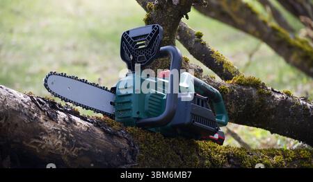 Plan détaillé d'une tronçonneuse reposant sur une branche d'arbre moussue. C'est un outil puissant pour couper le bois et est utilisé pour divers projets. Banque D'Images
