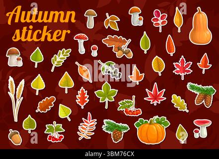 Paquet d'autocollants de Thanksgiving et feuilles d'automne. Ensemble vectoriel de dessins animés de patchs présentant des éléments naturels comme des feuilles, des champignons, des pommes de pin, des glands, des baies, citrouilles, et gourdes avec les épis de blé Illustration de Vecteur