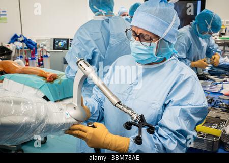 Mise en place d'une prothèse de hanche avec assistance robotique à l'hôpital Lyon Sud. Banque D'Images